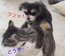 どうぞ