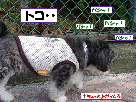 ¥È¥³¡¦¡¦