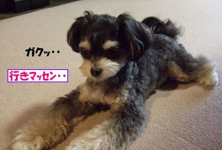 ¹Ô¤«¤Ê¤¤