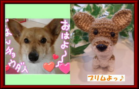プリムよ