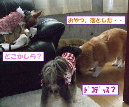 落とした