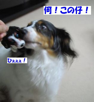 ひぇぇ