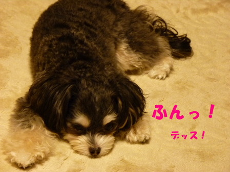 �դ�