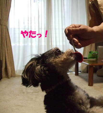 �䤿