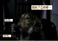 だれ