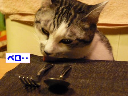 �ڥ�