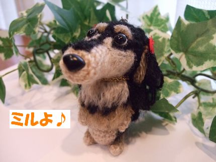 どう?