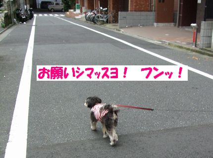 お願い