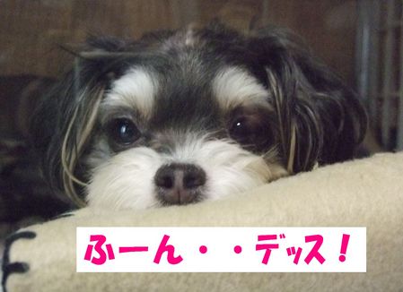 ふーん