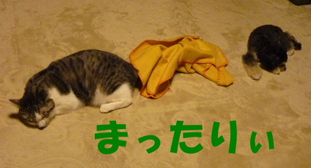 �ޤä���