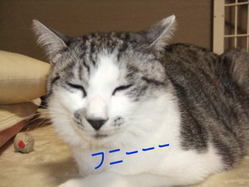 ふにー
