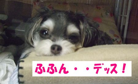 ふふん