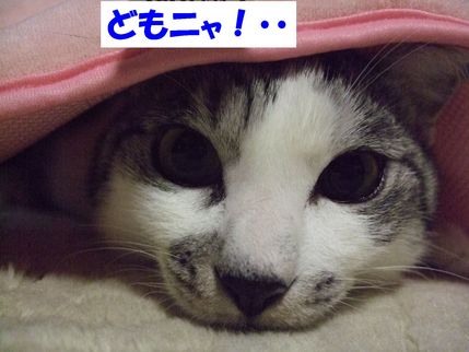 �ɤ�