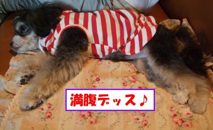 満腹