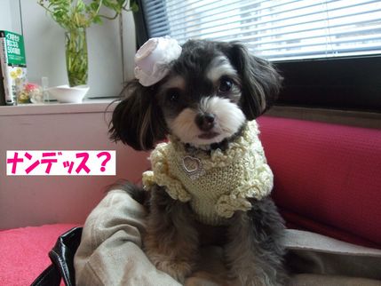 なんです?