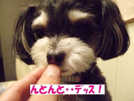 んとんと