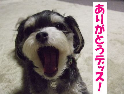 ありがとう