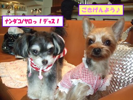 なんだ