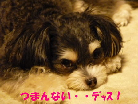 �Ĥޤ�ʤ�