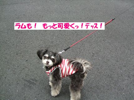 もっと