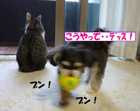 ¤³¤¦¤ä¤Ã¤Æ
