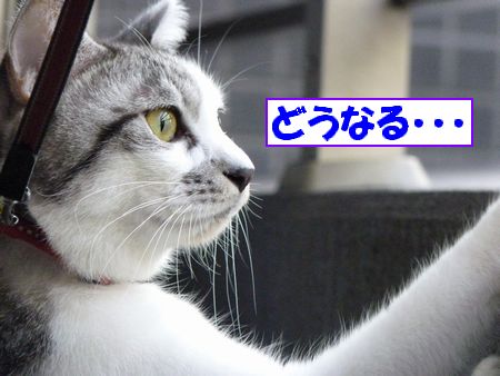 ¤É¤¦¤Ê¤ë