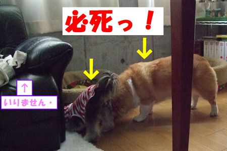 必死