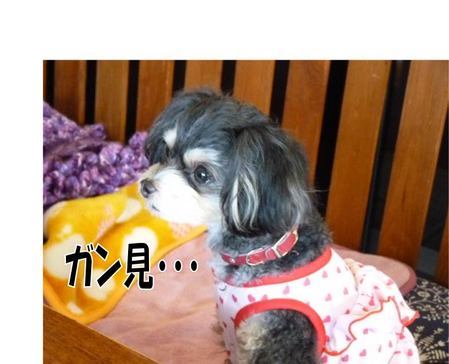 ¥¬¥ó¸«