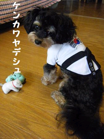 けんか?