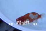 2004年度第49回日本らんちゅう協会全国品評大会DVD