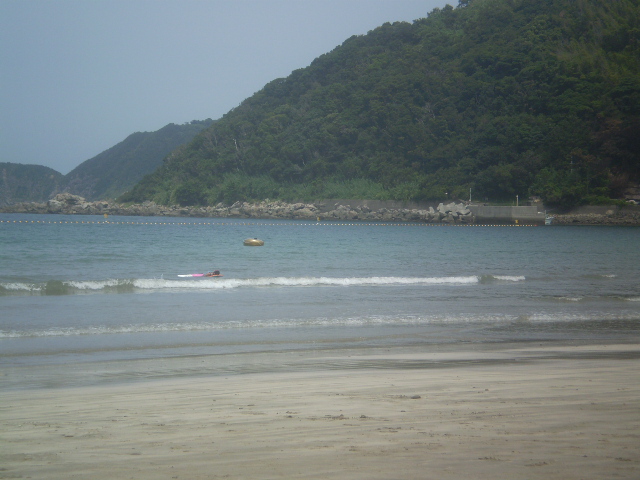 海