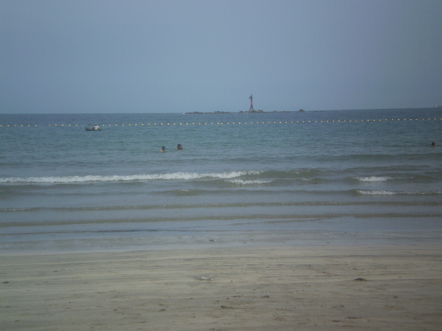 海