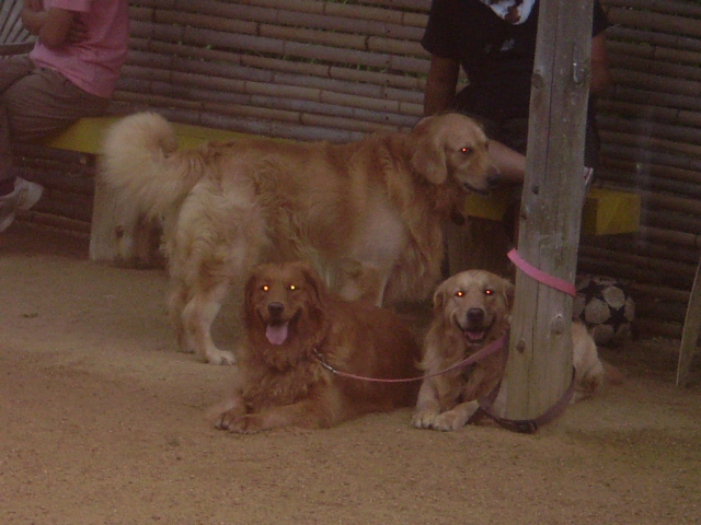 3ワンズ