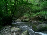 大門川