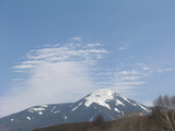 小春日より