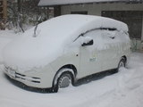 車の上
