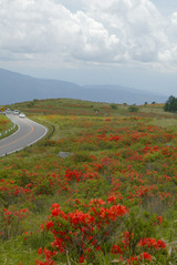 車山肩2