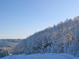 樹氷2