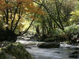 大門川
