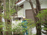 駆除前