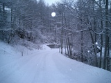 雪1
