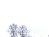 CIMG0195
