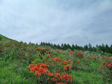 車山スキー場
