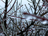 氷3