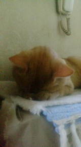 31a8c6bd.jpg