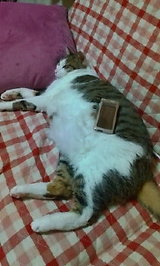 39dd6a3b.jpg