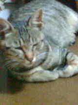 9adcd5f3.jpg