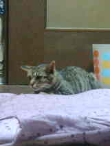 9d718804.jpg