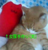 bffa1c58.jpg