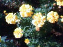 1b084101.jpg